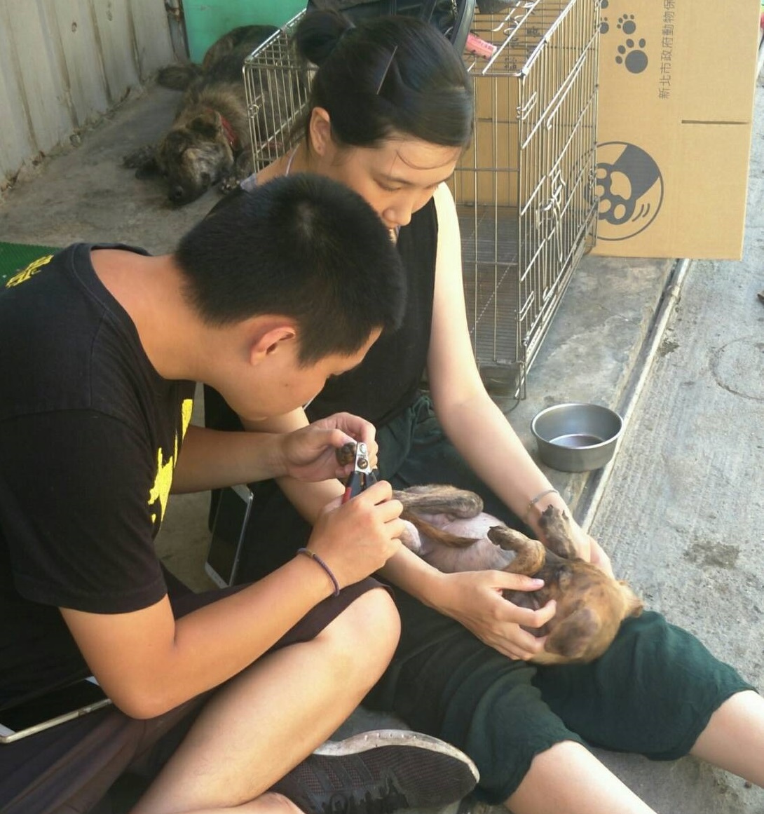 錢倫祥（左）及林育萱同學（右）實際到「淡水動物之家」做志工，幫狗狗剪指甲，以具體行動照顧流浪犬