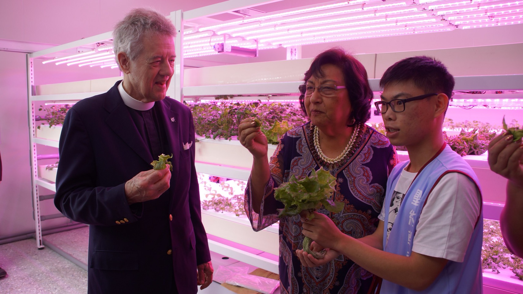 參訪貴賓在瞭解植物工廠的種植方法，以及品嚐過植物工廠種植出來的無毒蔬菜後，都對植物工廠讚不絕口