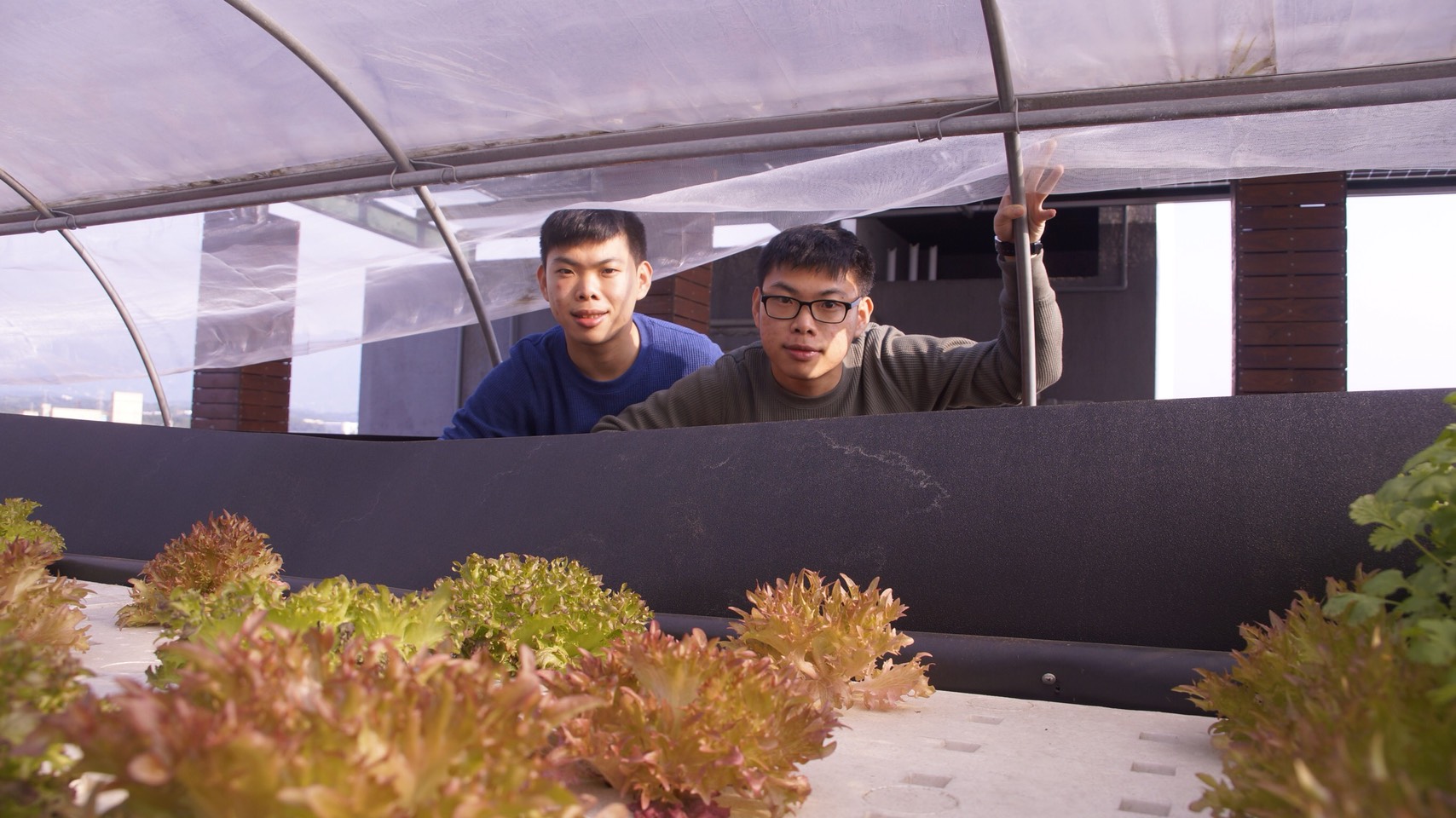 從「魚菜共生系統」、「植物工廠」到「太陽能空中花園」，聖約翰科技大學幫助張伯淞（左）及張伯淯（右）兩兄弟，發揮專長、實踐夢想。