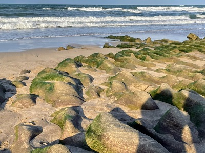 老梅綠石槽景觀是由海蝕溝槽和綠藻（主要是石蓴）共構，石蓴可食用，但質地硬、口感不佳，早期漁民採集後用於貝類養殖，或曬乾後售予青草店藥用。