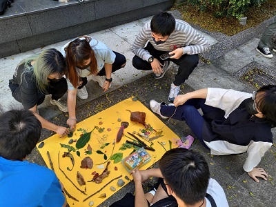 小組共同討論完成園藝作品。