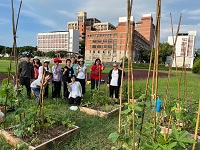 一米菜園栽種作物　聖約翰科大婦女大學實現都市農夫夢